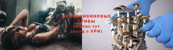 МДПВ Краснослободск