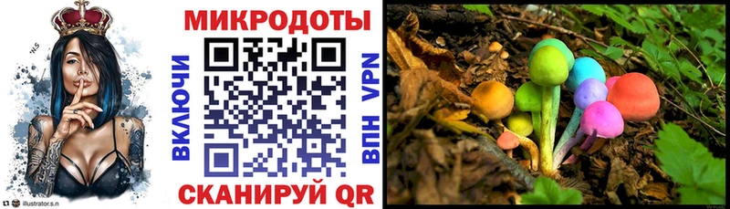 Купить  Карасук  Галлюциногенные грибы мицелий 